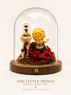 Little Prince Eternal Rose Glass Dome view 23 – Doluchi