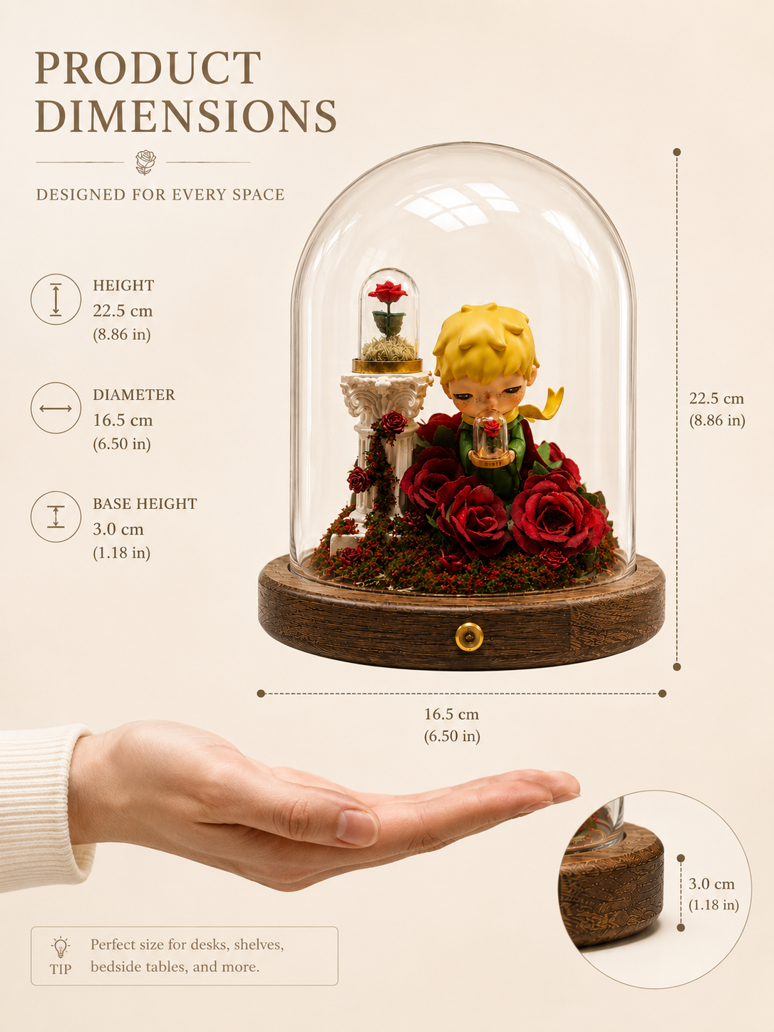 Little Prince Eternal Rose Glass Dome packaging – Doluchi