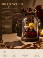 Little Prince Eternal Rose Glass Dome view 8 – Doluchi