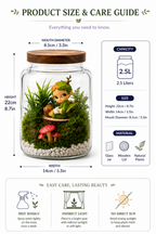Gazi Scene Glass Bottle Terrarium packaging – Doluchi