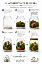 Gazi Scene Glass Bottle Terrarium size reference – Doluchi