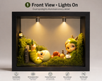 Gazi Blind Box Display Case detail – Doluchi