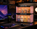 Blind Box Store Acrylic Display Shelf packaging – Doluchi