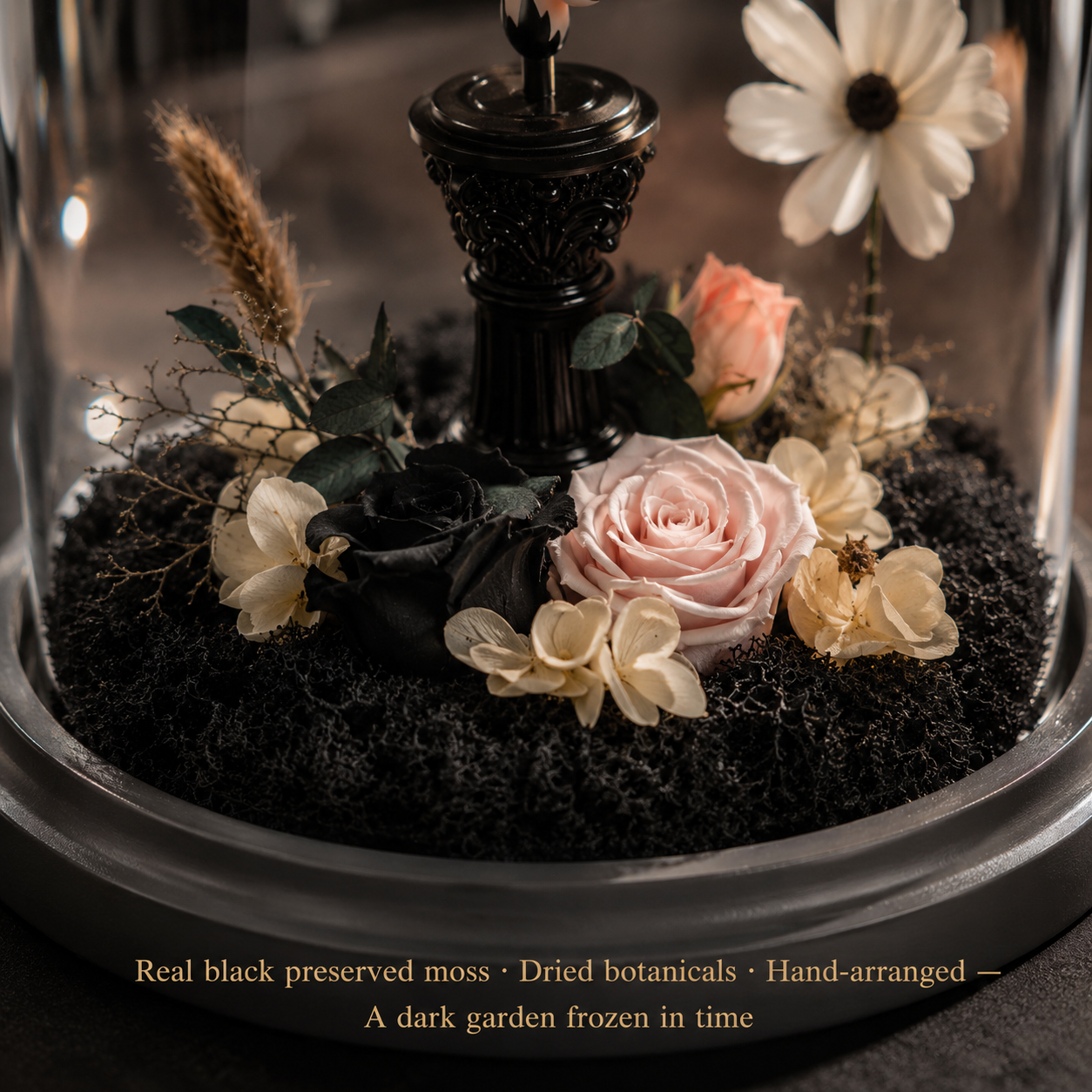 Wandering Dream Glass Dome | Real Preserved Flowers Limited Edition | Angel Series