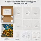 Acrylic Display Box with Art Backdrop detail – Doluchi