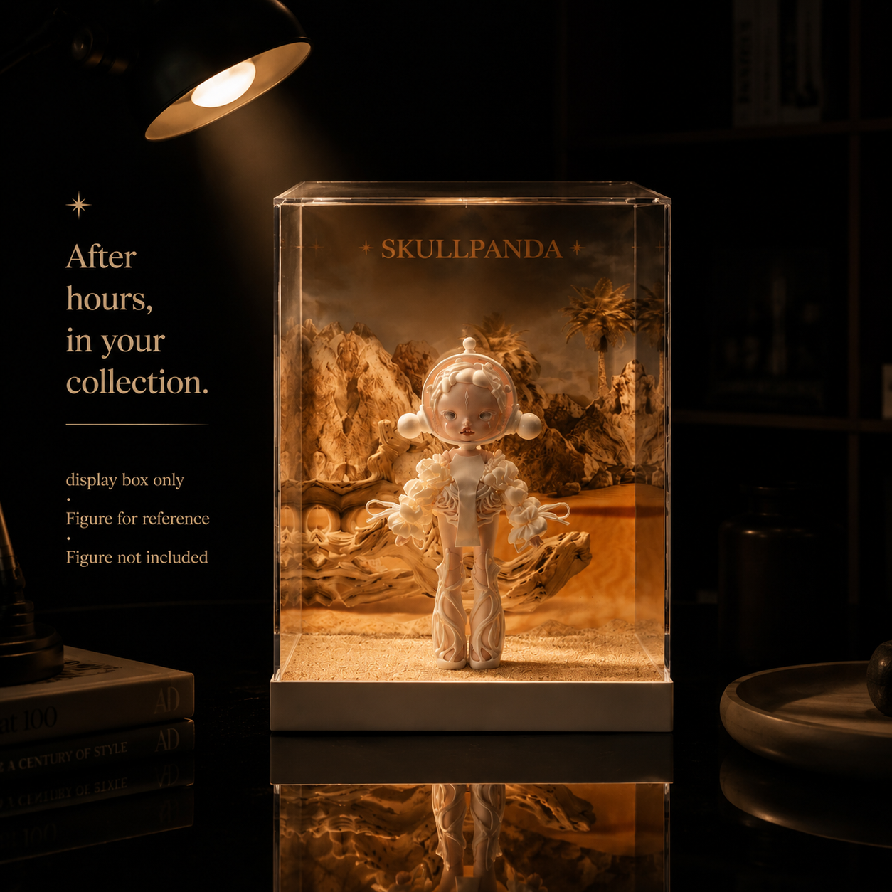 Desert Scene Acrylic Display Box | Printed Scene Backdrop | Collector Gift Box