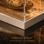 Desert Scene Acrylic Display Box | Printed Scene Backdrop | Collector Gift Box